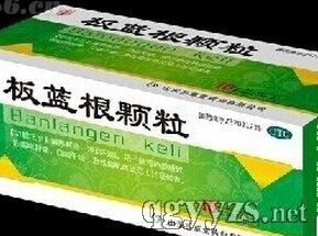 板藍根顆粒