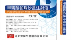 甲磺酸帕珠沙星注射液