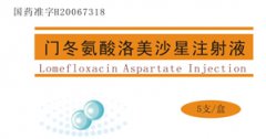 門冬氨酸洛美沙星注射液