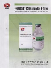 環(huán)磷腺苷葡胺葡萄糖注射液
