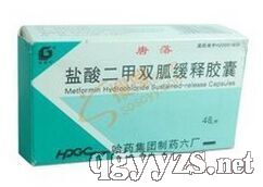 鹽酸二甲雙胍緩釋膠囊