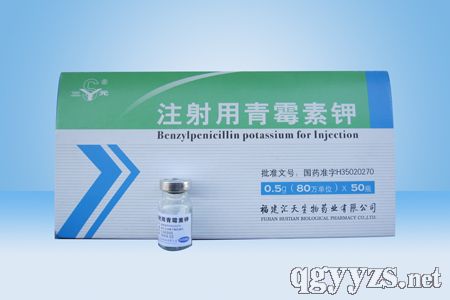 注射用青霉素鉀
