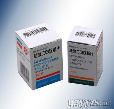 鹽酸二甲雙胍片