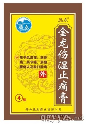 金龍傷濕止痛膏
