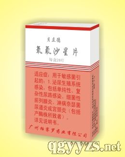 ����ɳ��Ƭ