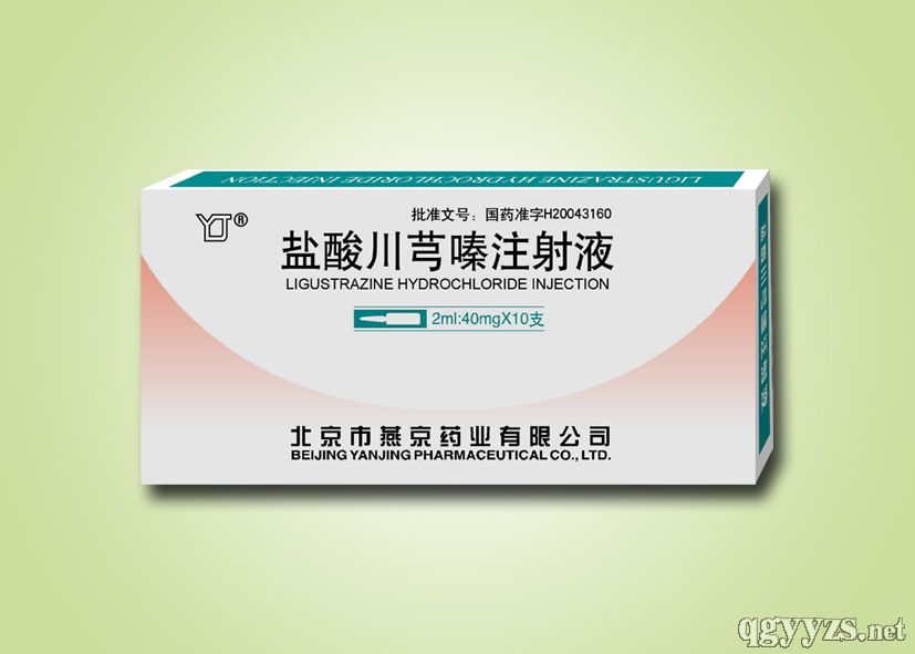 鹽酸川芎嗪注射液