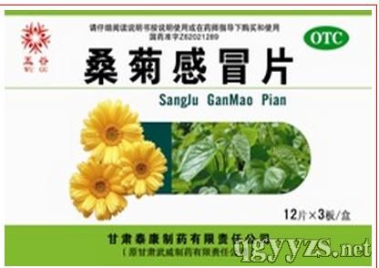 桑菊感冒片