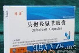 頭孢羥氨芐膠囊