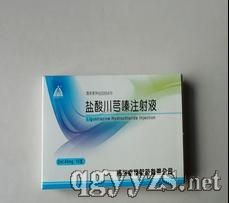 鹽酸川芎嗪注射液