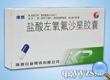 鹽酸左氧氟沙星膠囊