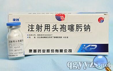 注射用頭孢噻肟鈉