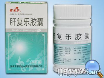 肝復(fù)樂膠囊