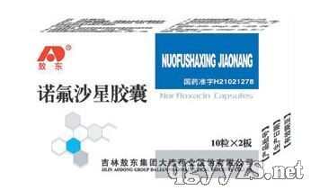 諾氟沙星膠囊