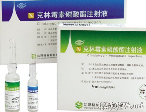 ����ù��������ע��Һ2ml:0.3