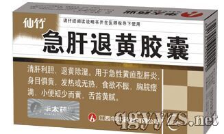 急肝退黃膠囊
