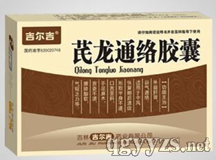 芪龍通絡(luò)膠囊