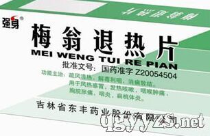 梅翁退熱片