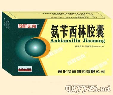 氨芐西林膠囊