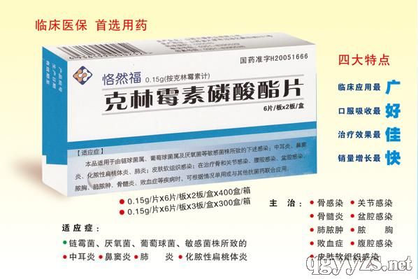 ����ù��������Ƭ