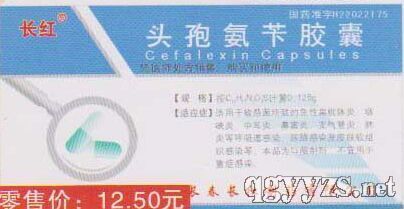 頭孢氨芐膠囊