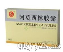 阿莫西林膠囊