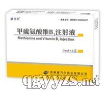 甲硫氨酸維B1注射液
