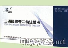 三磷酸腺苷二鈉注射液