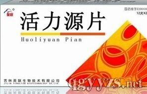 活力源片