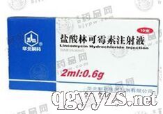 鹽酸林可霉素注射液