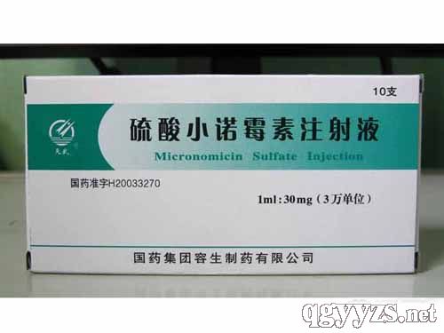 硫酸小諾霉素注射液