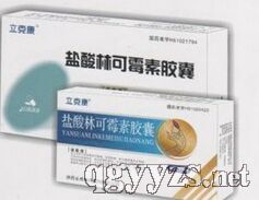 鹽酸林可霉素膠囊