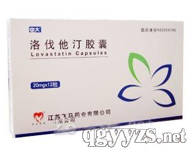 洛伐他汀膠囊
