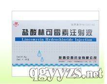 鹽酸林可霉素注射液