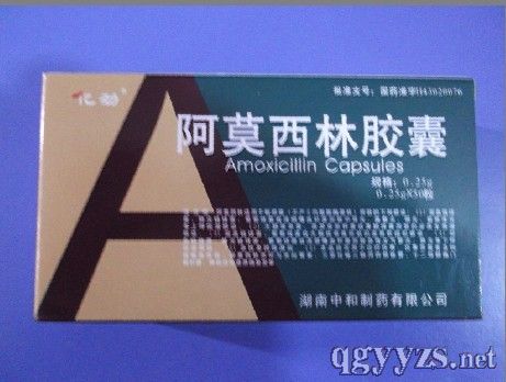 阿莫西林膠囊