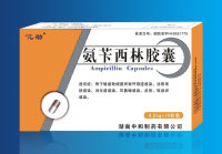 氨芐西林膠囊