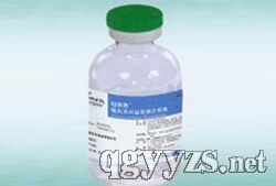 吡拉西坦氯化鈉注射液