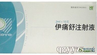 伊痛舒注射液