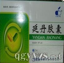 延丹膠囊