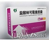 鹽酸林可霉素膠囊