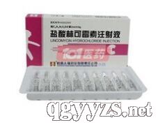 鹽酸林可霉素注射液
