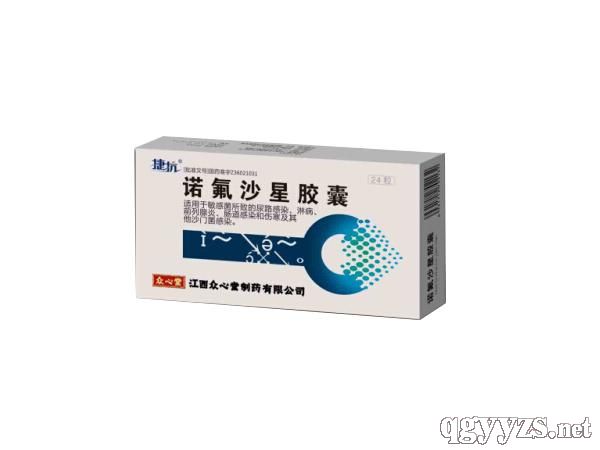 �Z��ɳ���z�ң���ˎ���t(y��)�����