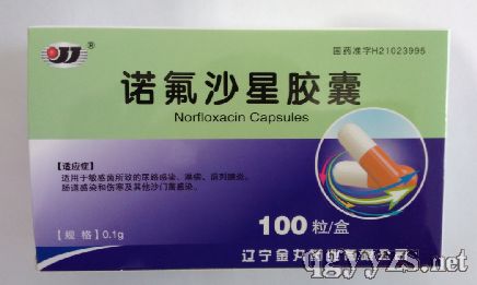 �Z��ɳ���z��100��