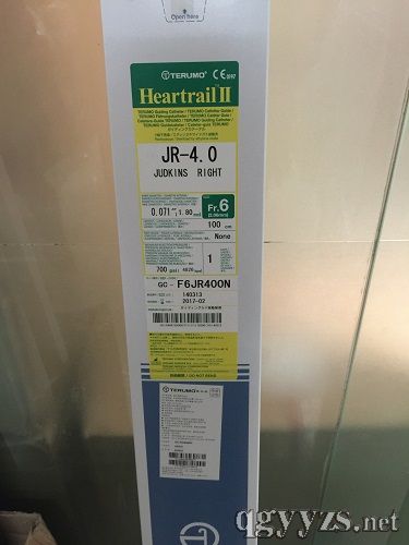 泰爾茂指引導管