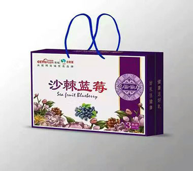 沙棘藍(lán)莓植物飲料3瓶裝禮盒