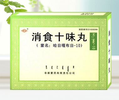消食十味丸