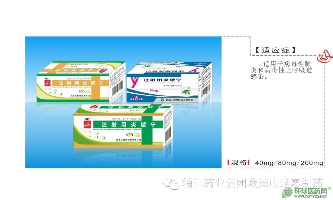 ע����������