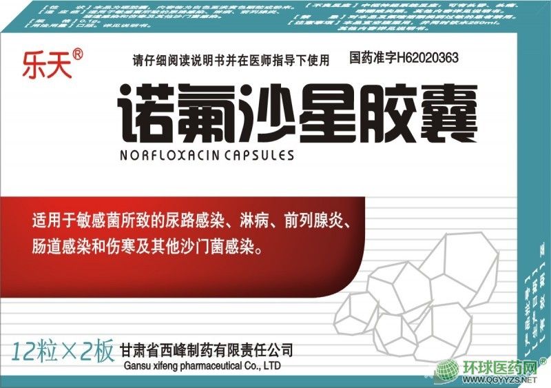 諾氟沙星膠囊