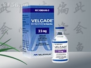 ע������������