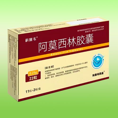 阿莫西林膠囊