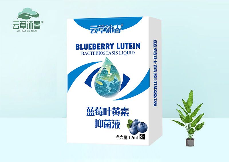 藍(lán)莓葉黃素抑菌液